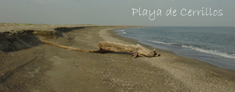 Playa de Cerrillos