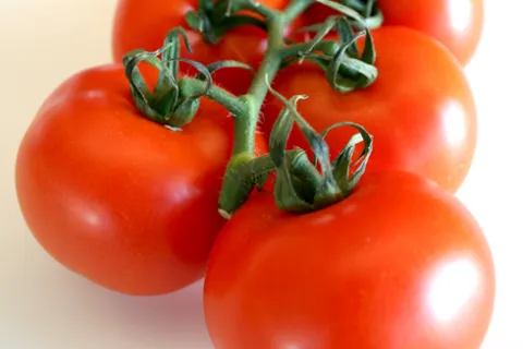 Tomates - Agricultura